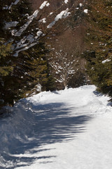 Mountain road in winter