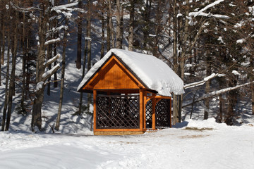 wooden house in winter forest