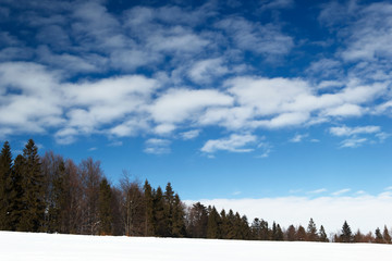 winter landscape with trees and blue sky
