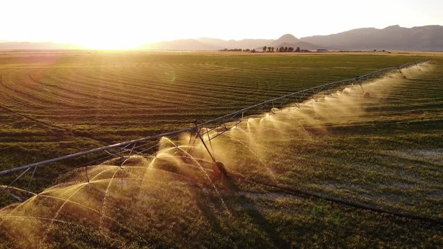 Low Flight Over Backlit Agricultural Sprinklers in Field - Aerial Drone.