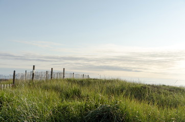 Fototapeta na wymiar Dune protection fence at Westport beach near West Ocean Avenue
