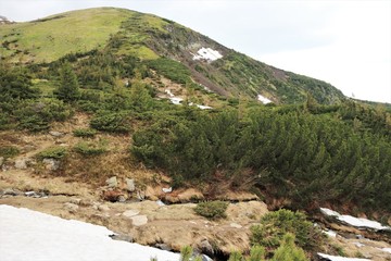 Obraz premium Landscape in the mountains. Carpathians.