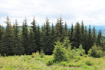 Fototapeta na wymiar Landscape in the mountains. Carpathians.