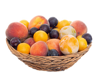 Old fashioned fruit from a long abandoned orchard in old wicker basket, bowl. Tiny plums, small, sweet peaches etc. Front view. Isolated.