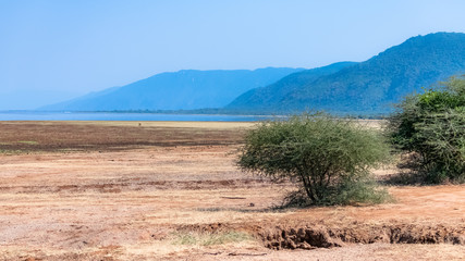 Fototapeta na wymiar The Manyara lake in Tanzania, beautiful panorama with the lake in background