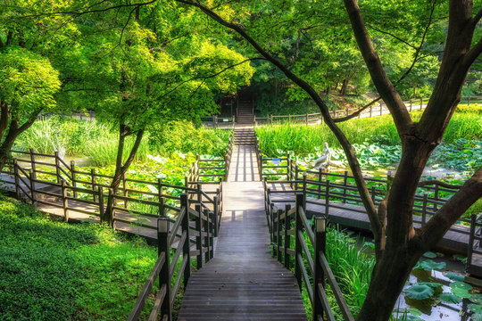 achasan ecological park pond