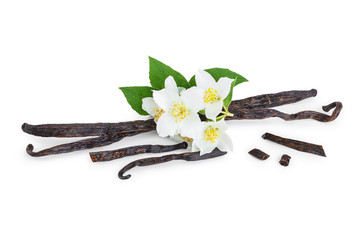 Vanilla sticks with flower and leaf isolated on white background