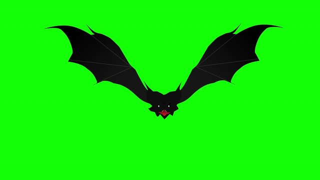 Scary bat hovering slowly against green background. Halloween background