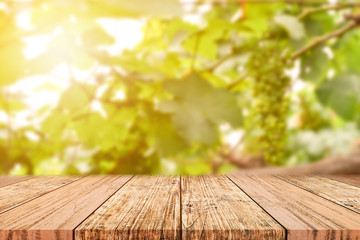 Empty wooden table top on blur of grape garden background. For your product display or design key...
