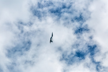 War jet plane among cloudscape