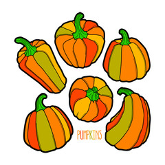 Cartoon pumpkin set