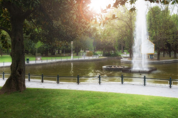 Obraz premium Fountain in a city park. Green summer park at sunny day