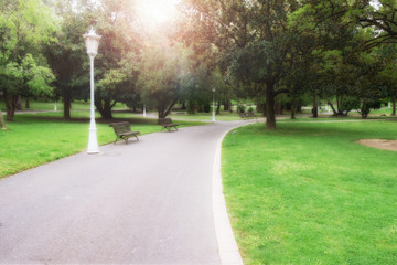 Sunlight in the green city park. Spring time nature park landscape