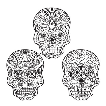 Hand drawn sketch illustration of Mexican skull for adult coloring book.