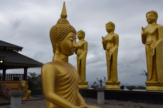 statue of buddha nelligala temple