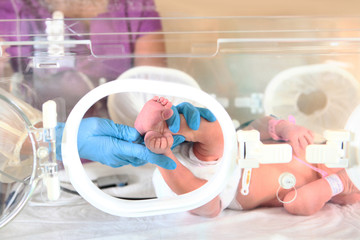 Three-day-old newborn baby in intensive care unit in a medical incubator. Macro photo of doctor's...