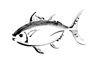 鮪　まぐろ　手書き　挿絵　美味しい　マグロ　日本食　カット　筆書き　手描き　カットイラスト　筆描き