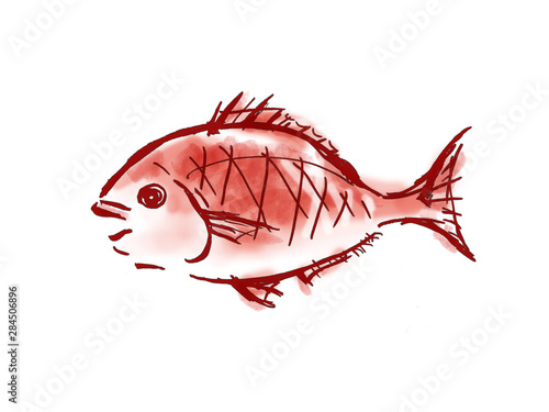 Japan Image 鯛 イラスト リアル Japan Image 鯛 イラスト リアル
