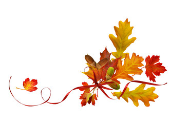 Red silk ribbon bow with autumn colorful leaves and acorns