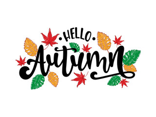 Vector hand lettering composition of Hello Autumn quote. Illustration isolated on white background. Hand drawn design for autumn party poster, badge, logo, postcard or fall sale banner