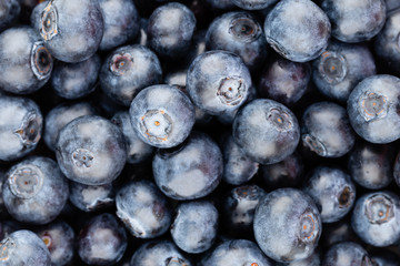Fresh blueberry background. Texture blueberry berries close up.