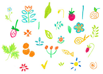 Set flowers, berries and leaflets painted with wax crayons