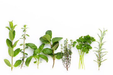 Herbal spice on a white background. Top view.