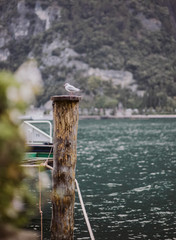 Nature in Italy