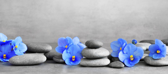 Zen stones and violet flowers on grey background.