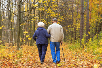 Fototapeta premium Happy senior couple in an autumn park