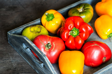 Imperfect natural peppers and tomatoes on an old wooden tray on a dark background. Healthy eating concept.