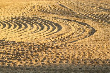 Fototapeta na wymiar Pattern of curved ridges and furrows on a sandy field. traces on the sand