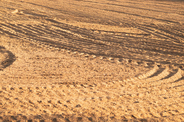 Pattern of curved ridges and furrows on a sandy field. traces on the sand