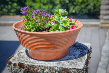 street design with big flower pot 