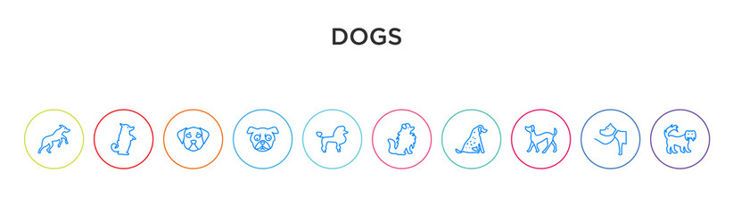 dogs concept 10 outline colorful icons
