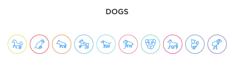 dogs concept 10 outline colorful icons