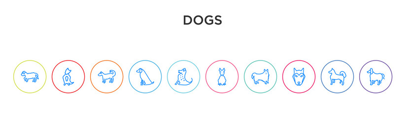 Obraz premium dogs concept 10 outline colorful icons