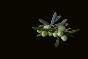 Olive oil and olives on black background.