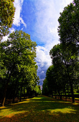beautiful landscapes in the old park of the city of Ansbach