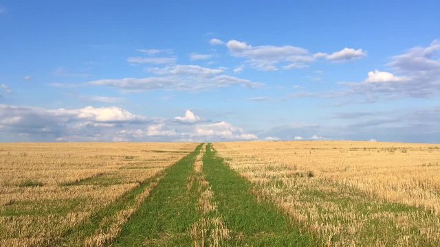 The field after harvesting in sunny day. Panorama picture with mowed wheat field  under  sunny day. Czech Republic, Time lapse