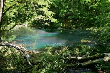 《十二湖の青池》青森県深浦町