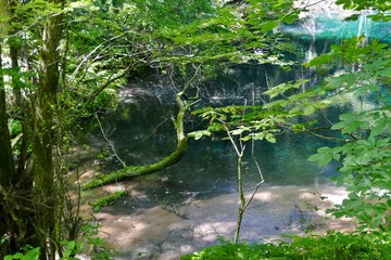《十二湖の青池》青森県深浦町