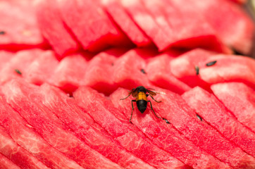 Red watermelon with wasp