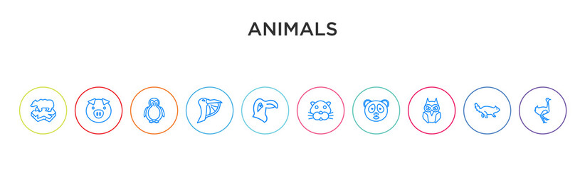 Fototapeta na wymiar animals concept 10 outline colorful icons