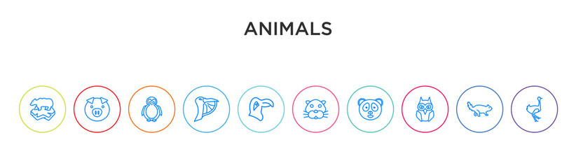animals concept 10 outline colorful icons