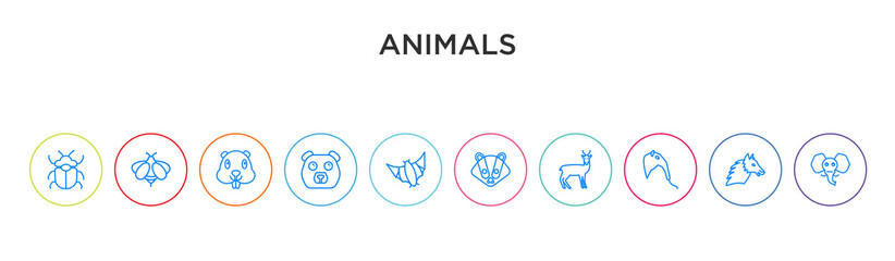 animals concept 10 outline colorful icons