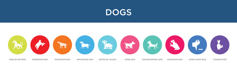 dogs concept 10 colorful icons