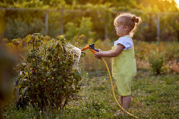 Funny little girl playing with garden hose in sunny backyard. Preschooler child having fun with...