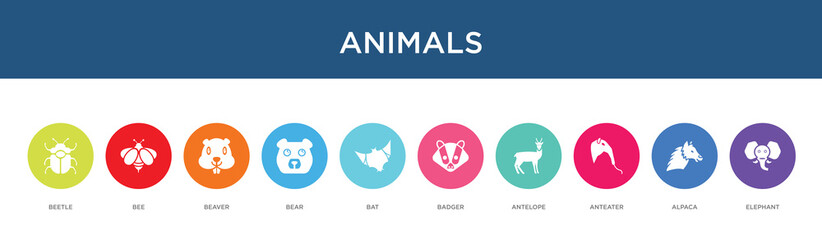 animals concept 10 colorful icons