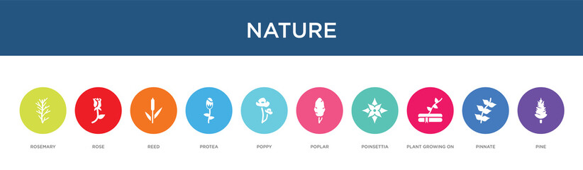 nature concept 10 colorful icons